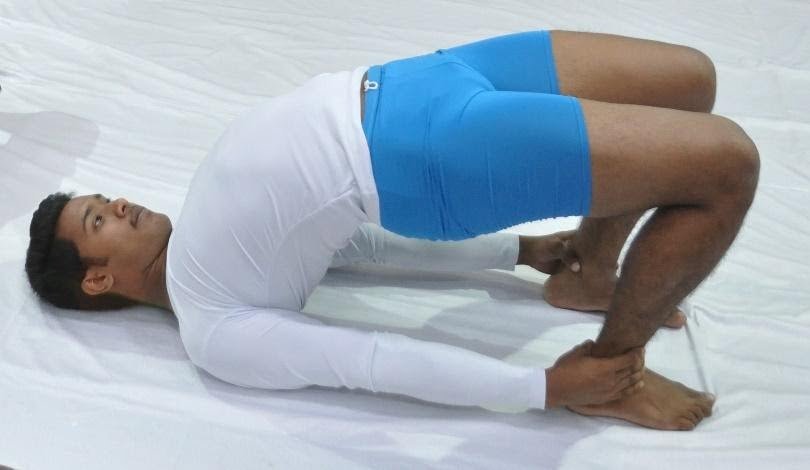 Bridge Yoga Pose