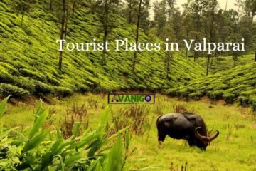 Top 10 Places to Visit in Valparai - Valparai Tourist Places & Tourist