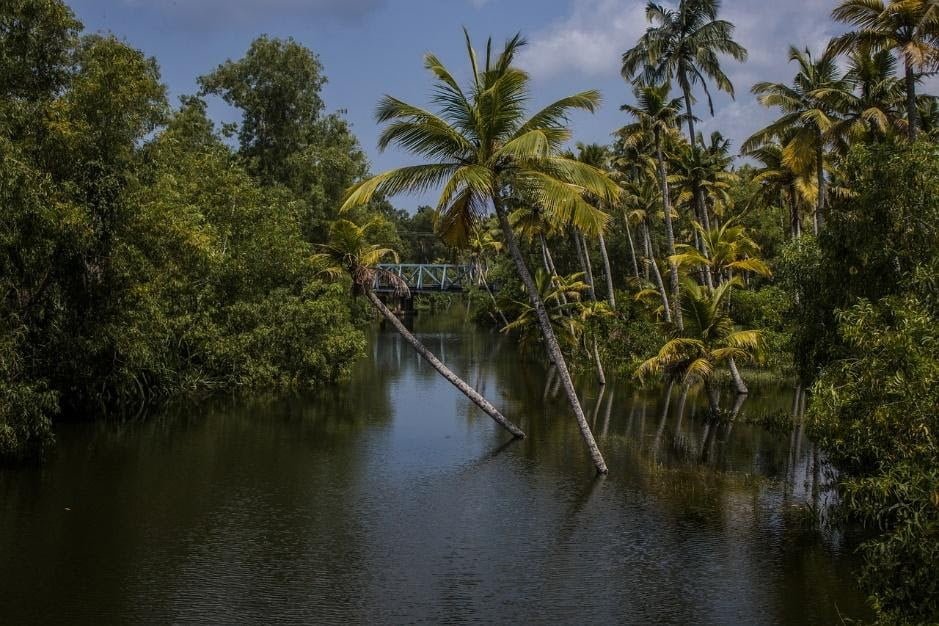 Alappuzha