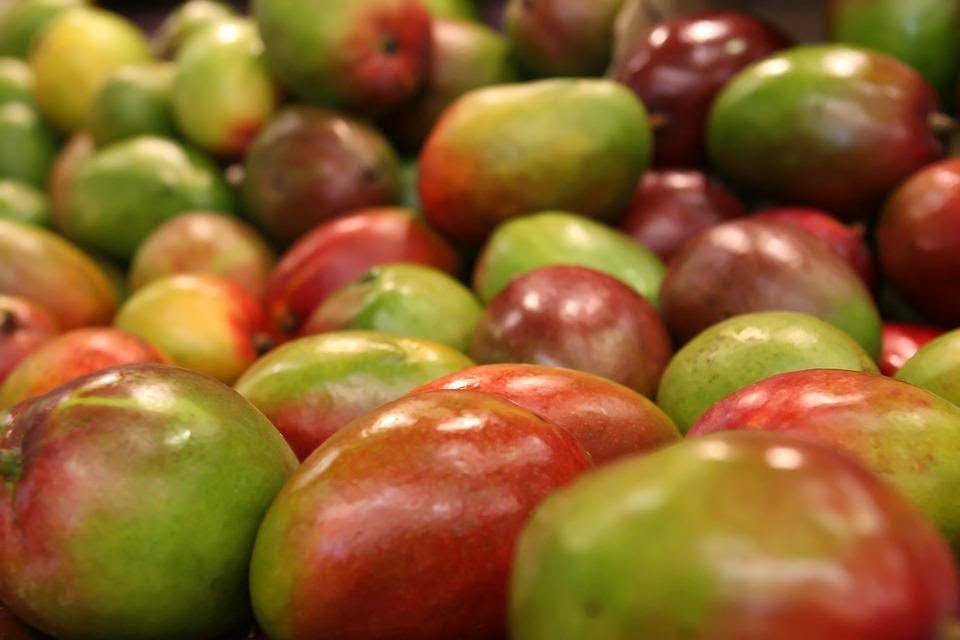 National Fruit of India Mango: Colour Mango