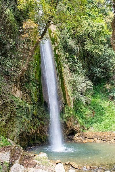 Tiger falls