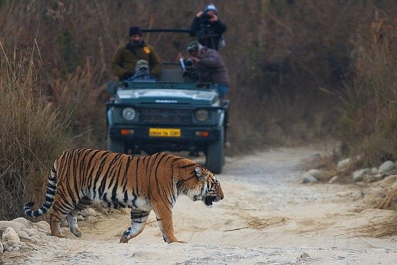 Jim-Corbett-National-Park