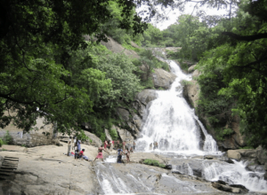 Top 10 Places to Visit in Valparai - Valparai Tourist Places & Tourist