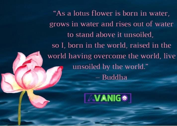 Quotes on Lotus Flower