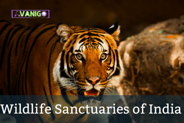 Top 26 Wildlife Sanctuaries in India - National Park & Wildlife Sanctuary