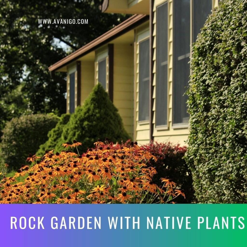 rock garden with native plants