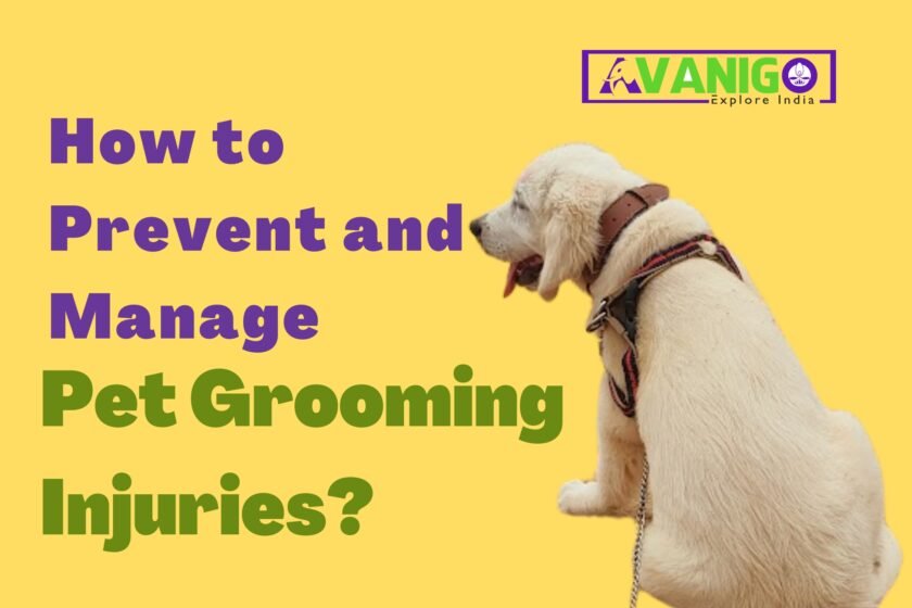 Pet grooming injuries