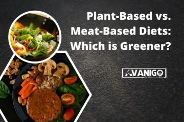 Plant Based vs Meat Based Diets Which is Greener