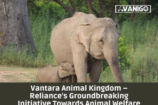 Vantara Animal Kingdom