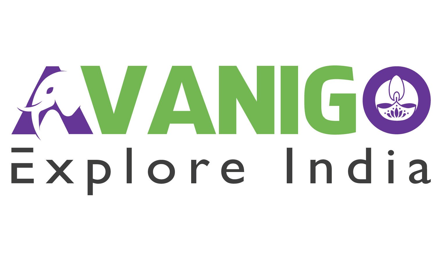 avanigo logo1