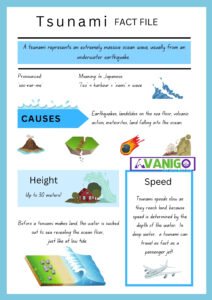 Tsunami infographic