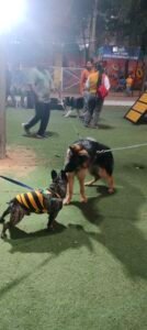 Dog park in hyderabad 3