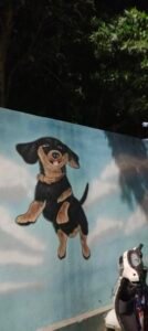 Dog park in hyderabad